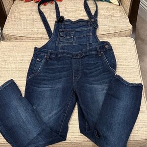Free People Century Dark Blue Denim Overalls Sz 27